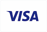 visa icon